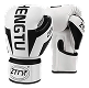 Boxeo y artes marciales
