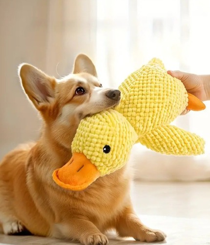 Peluche sonoro para perros pato amarillo juguete mascotas