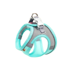Chaleco Arn&eacute;s Ajustable para Gatos con Correa para Paseo Exterior | Seguridad y Comodidad