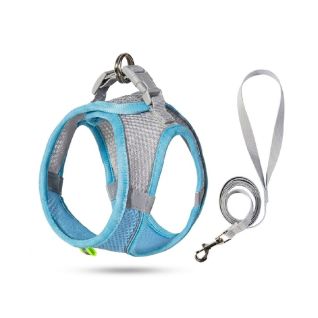 Arnés Ajustable Para Gato Con Correa Para Paseo
