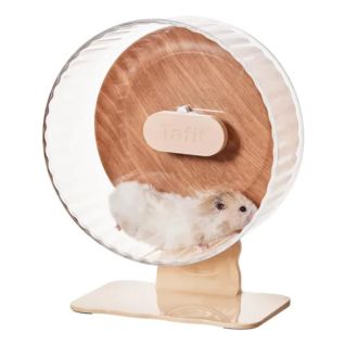 Rueda Ejercicio Silenciosa para Hámster y Osos de Peluche, Jaula Juguete Deportivo Grande, Alivia Aburrimiento, Productos para Paisajismo Mascotas