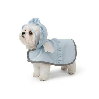 Impermeable Para Perro Con Alas