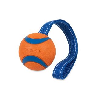 Pelota Interactiva Sonora Para Perros