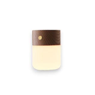 Difusor Aromaterapia Creativo con Luz Nocturna Atmosférica para Dormitorio y Cama, Bombilla Universal
